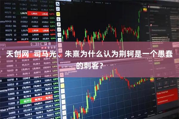 天创网  司马光、朱熹为什么认为荆轲是一个愚蠢的刺客？